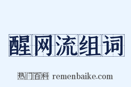 醒网流组词是什么意思的图片
